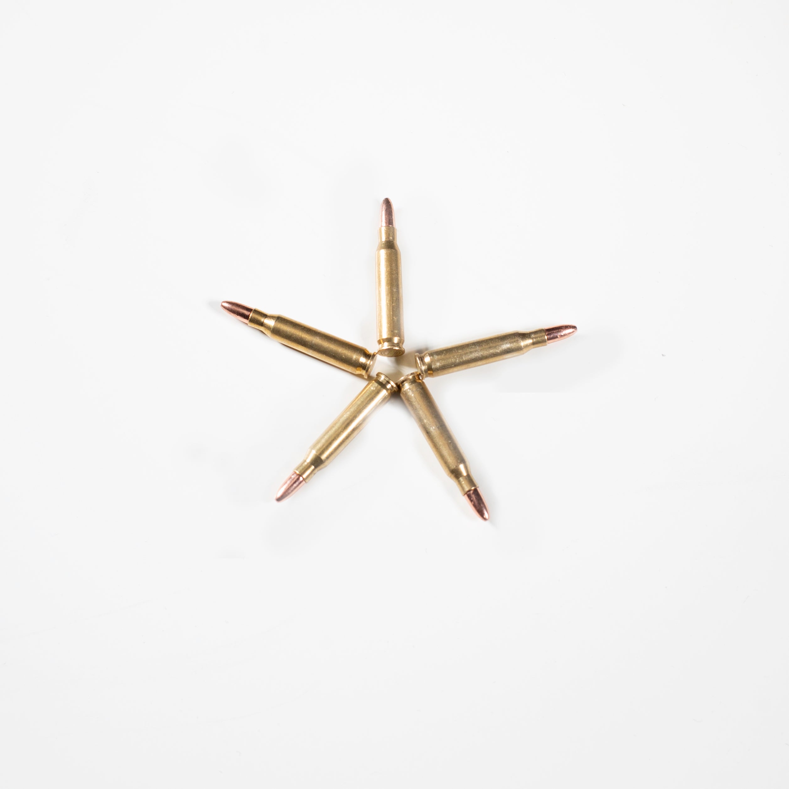 M4A1 Ammunition - 5 Rounds